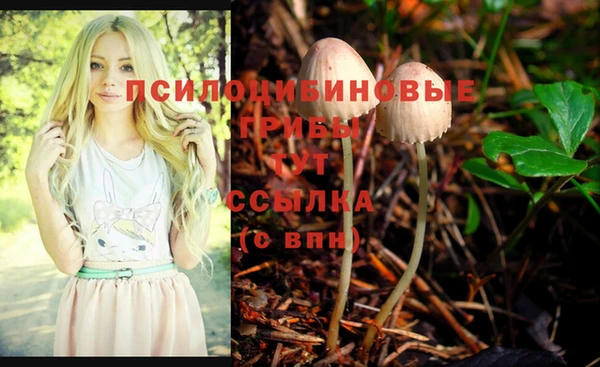 COCAINE Краснотурьинск