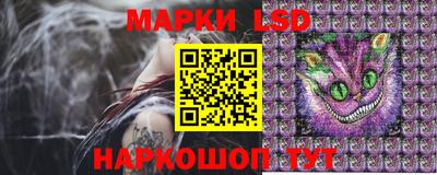 ешки Можга
